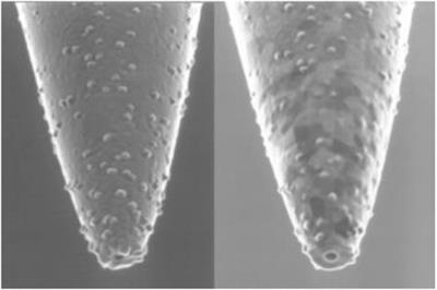 The Development of Microscopic Imaging Technology and its Application in Micro- and Nanotechnology